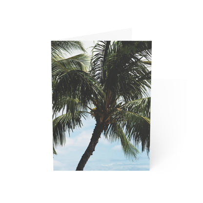 Palm Dreams in Hawaii - Greeting Cards