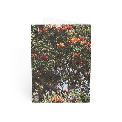 African Tulip Tree - Greeting Cards