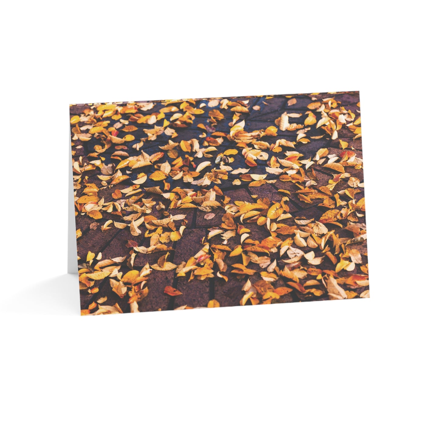 Fall Leaves - Greeting Cards