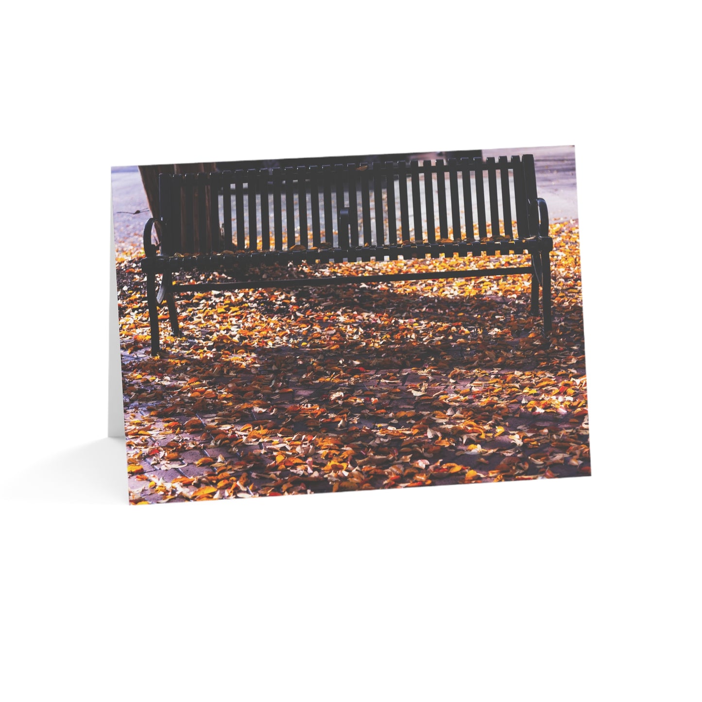 Seated by Fall Leaves - Greeting Cards