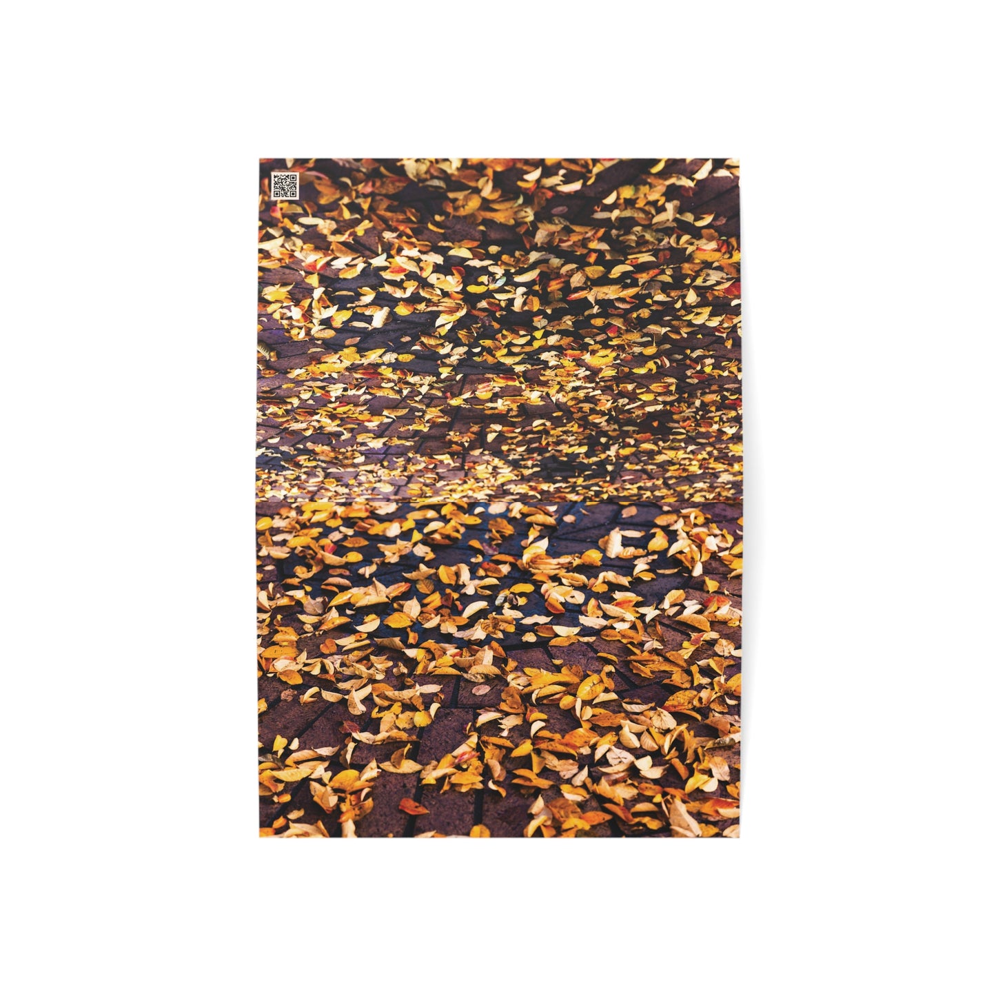 Fall Leaves - Greeting Cards