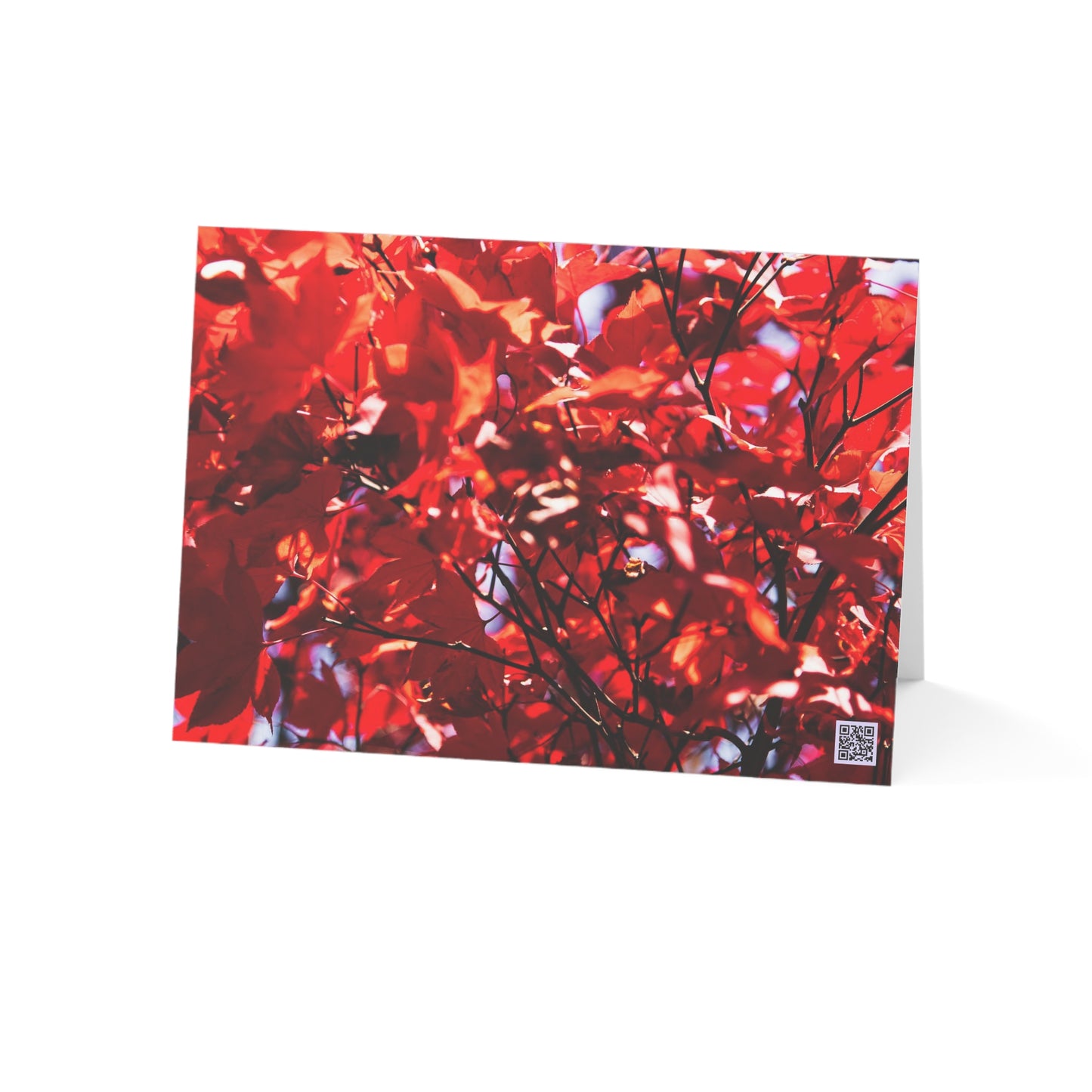 Red Maple / Centered - Greeting Cards