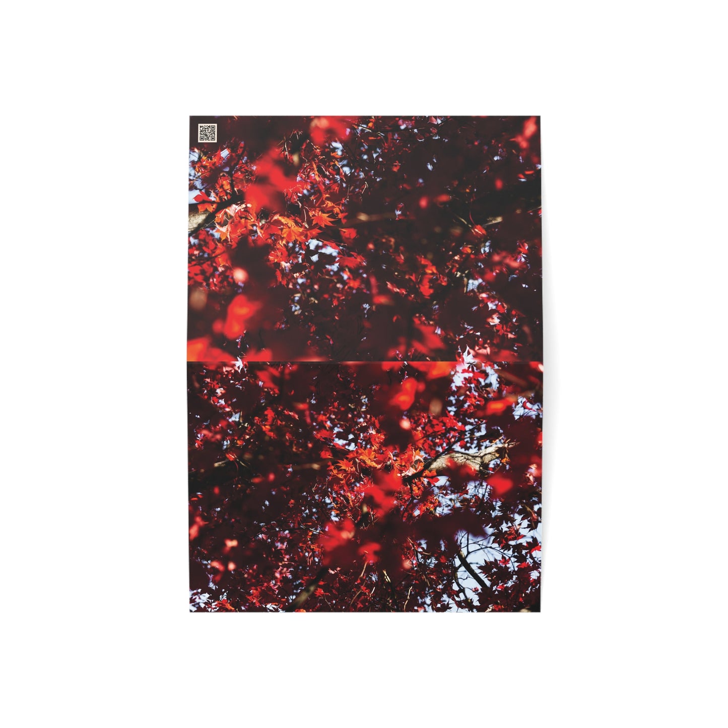 Red Maple - Greeting Cards