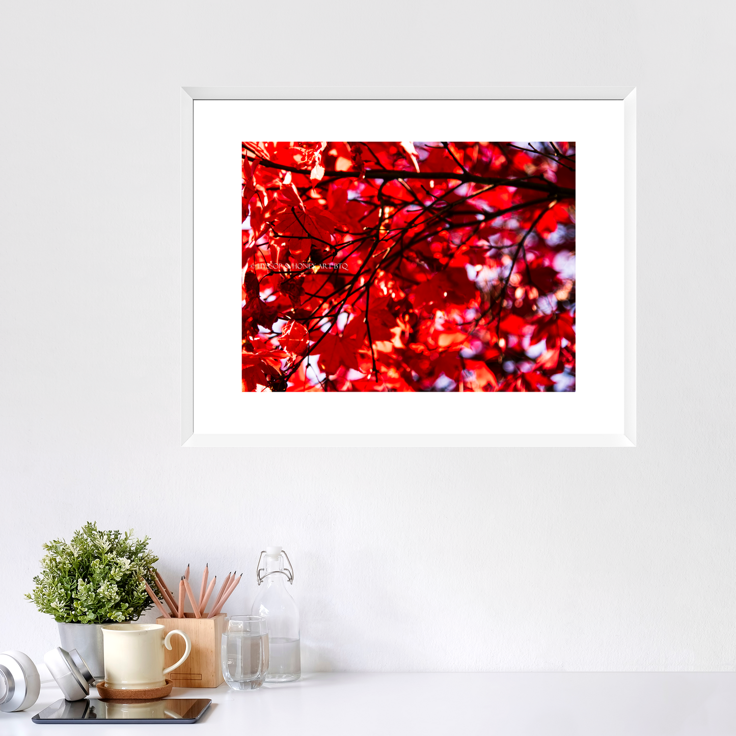 Red Maple / Right - Framed Prints