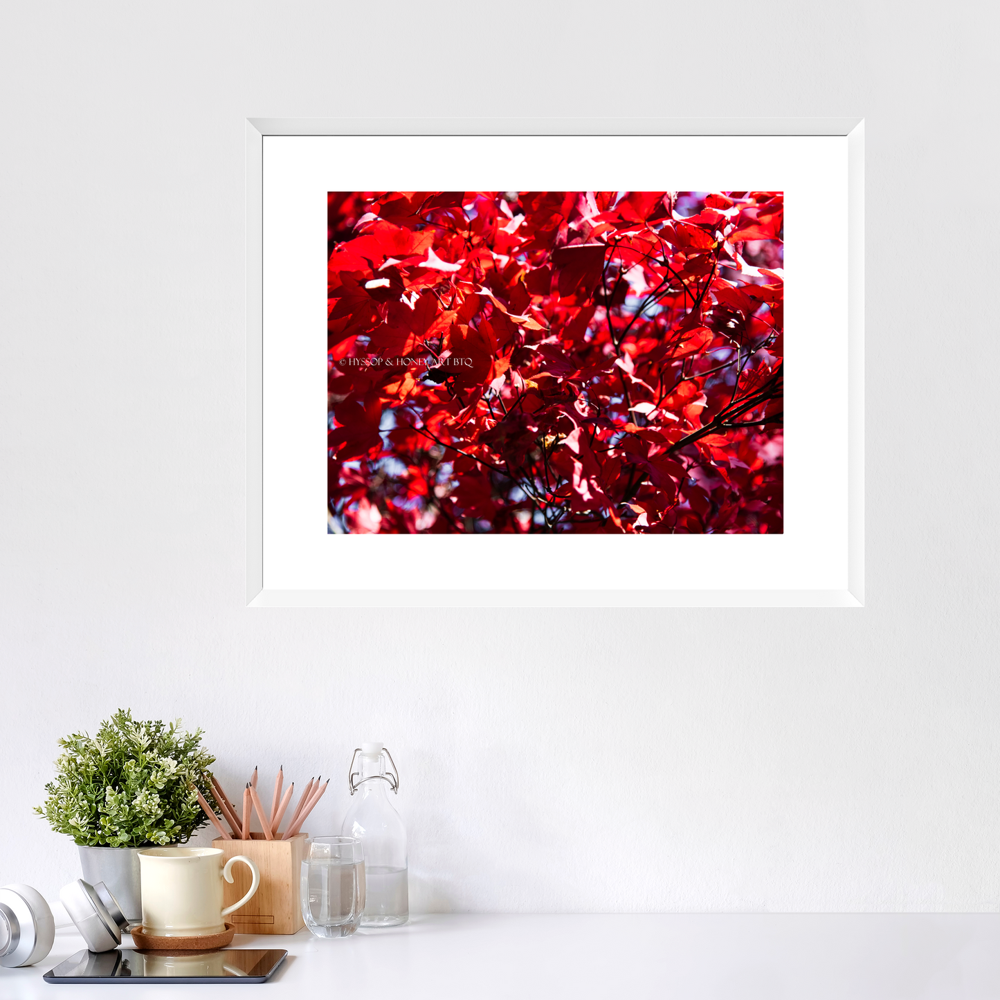Red Maple / Centered - Framed Prints
