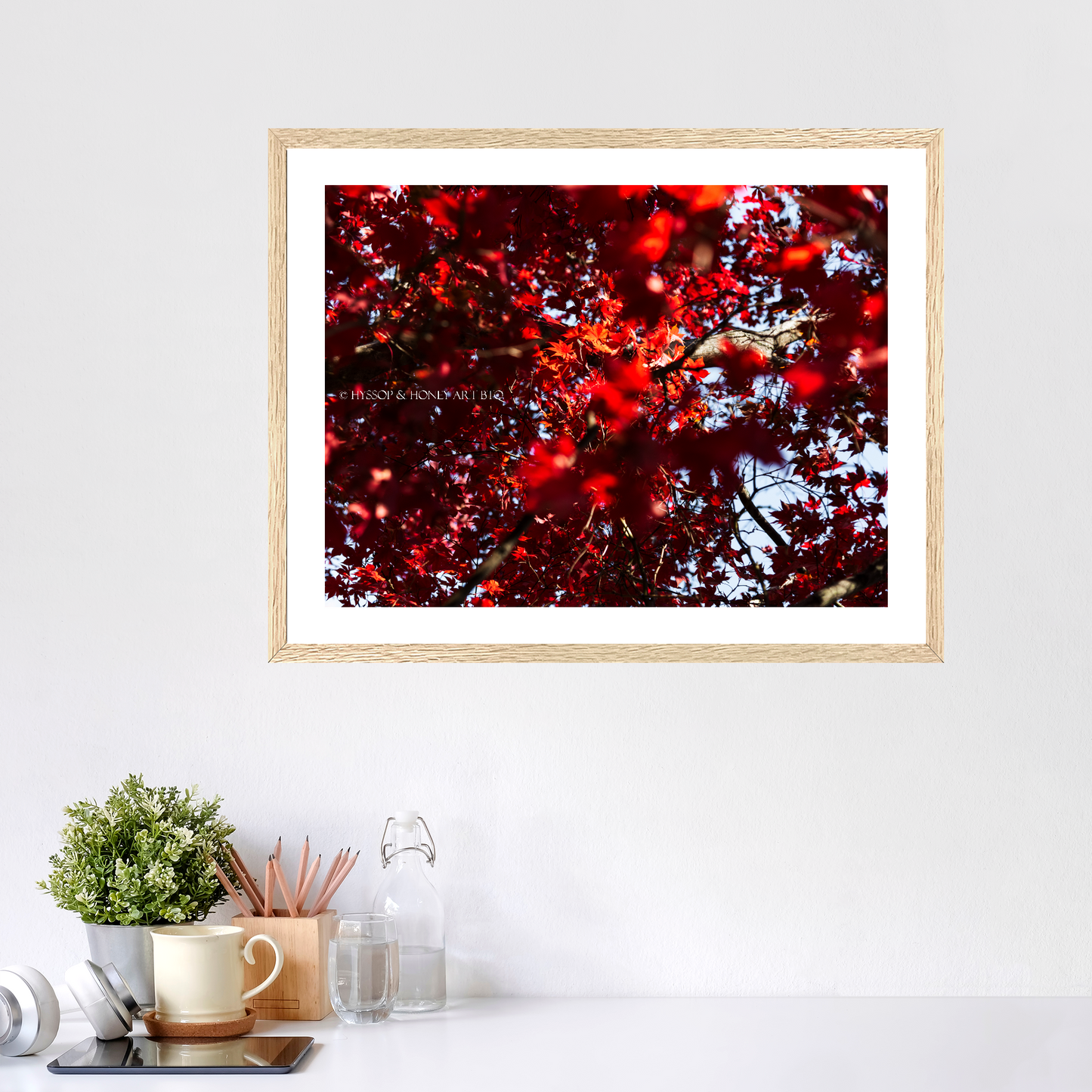 Red Maple - Framed Prints