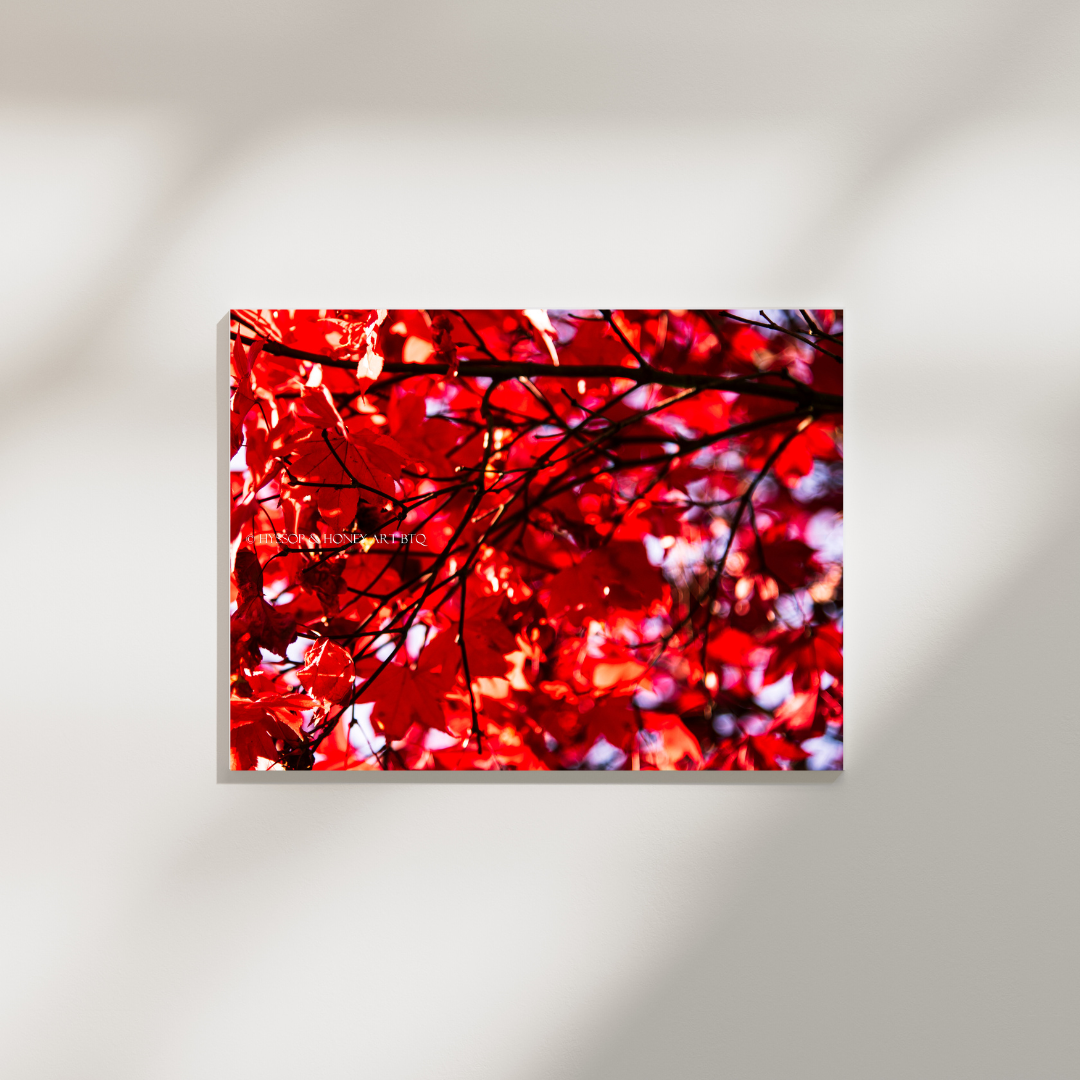 Red Maple / Right - Canvas Prints