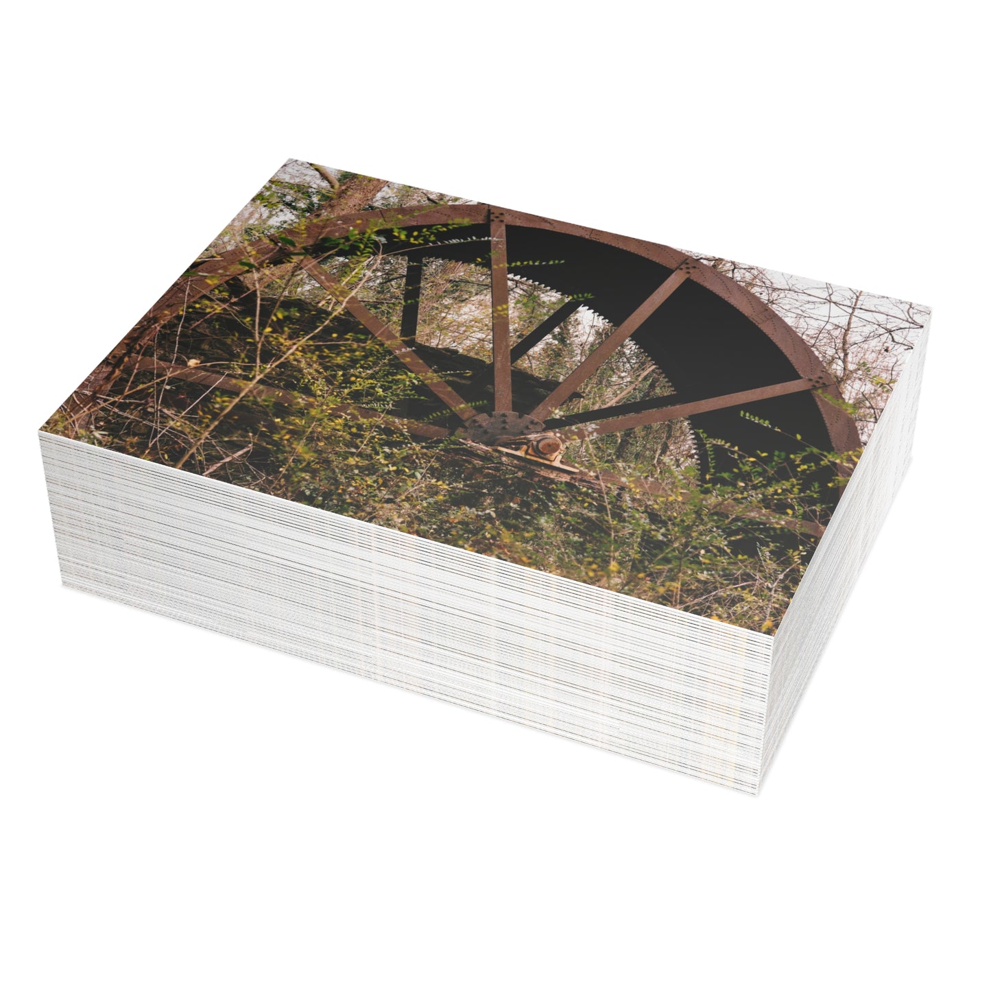 Mill Wheel - Greeting Cards
